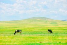 呼伦湖景点图片