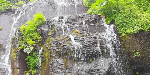 望天鵝旅遊風景區-萬古崖