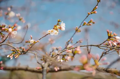 长安唐村·南堡古寨