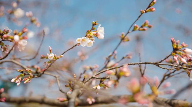 长安唐村·南堡古寨