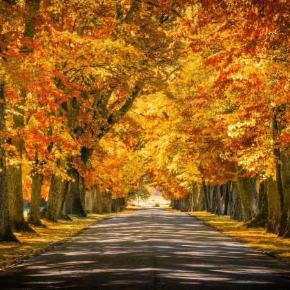 新西兰南岛+皇后镇+瓦纳卡+蒂阿瑙+奥玛鲁+达尼丁9日8晚私家团