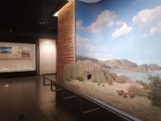 新疆维吾尔自治区博物馆-乌鲁木齐-开心天涯客