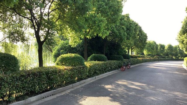 羊山公园旅行图片 3