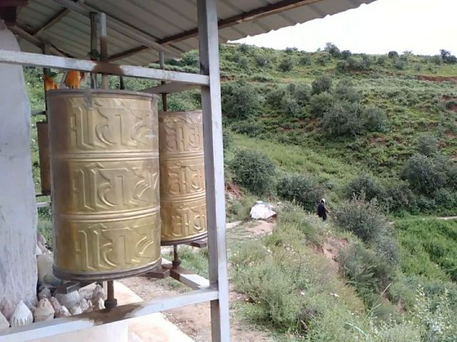 大金寺旅行图片 5