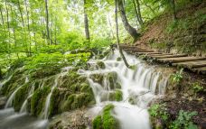 普利特维采湖群国家公园-Plitvicki Ljeskovac