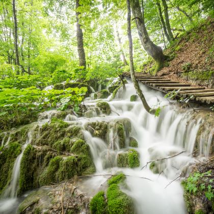 匈牙利+斯洛文尼亚+克罗地亚+塞尔维亚+波黑+黑山+阿尔巴尼亚17日跟团游