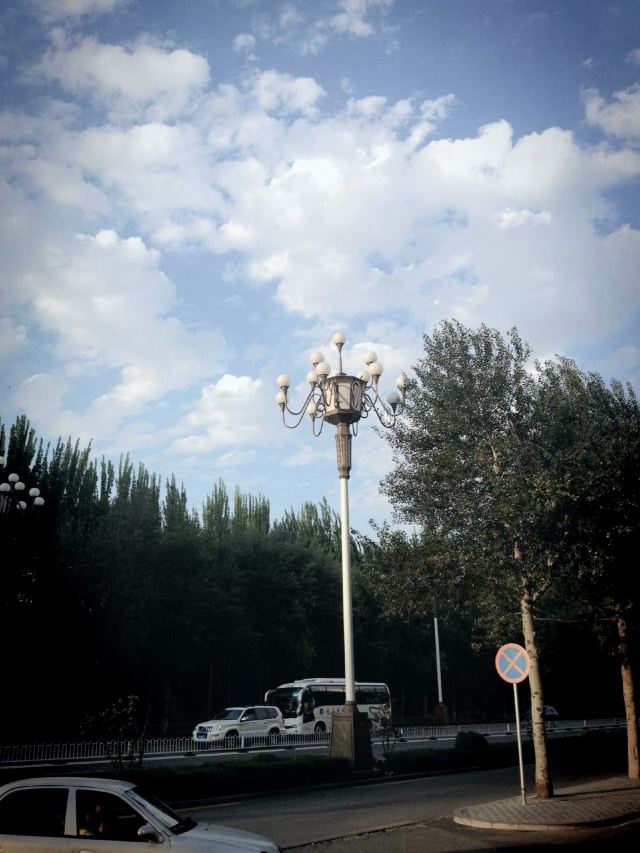 劳动公园旅行图片 1