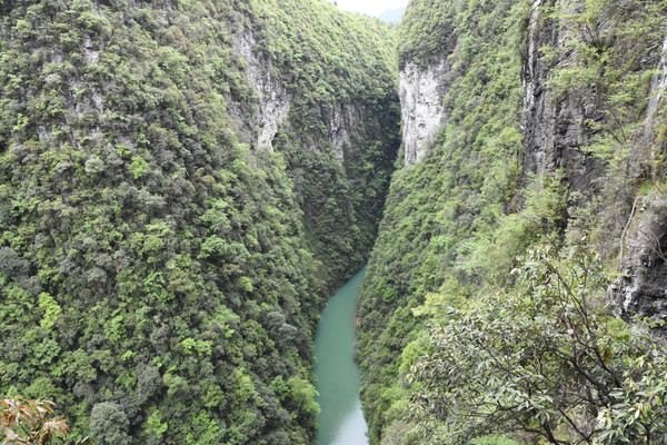 湖北旅游：走进恩施屏山大峡谷（图）