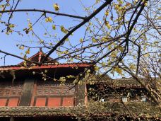 报国寺-峨眉山-徐团