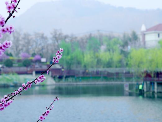 十梅庵风景区