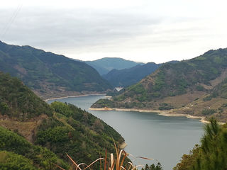 自驾青田，一场惊喜的邂逅