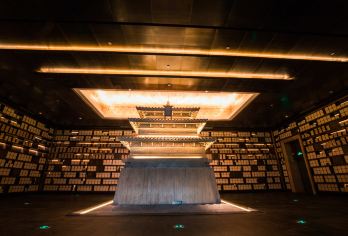 南京总统府+博物馆+夫子庙+大报恩 一日活动【双馆线 无购物】【门票全含无购物 抢票的脏活累活我们干 管家式安心团，所有升级只加服务不加价！】