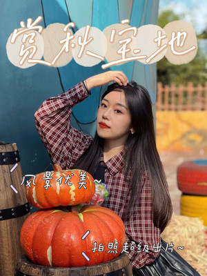 桂花飘香|安吉赏秋拍照宝地