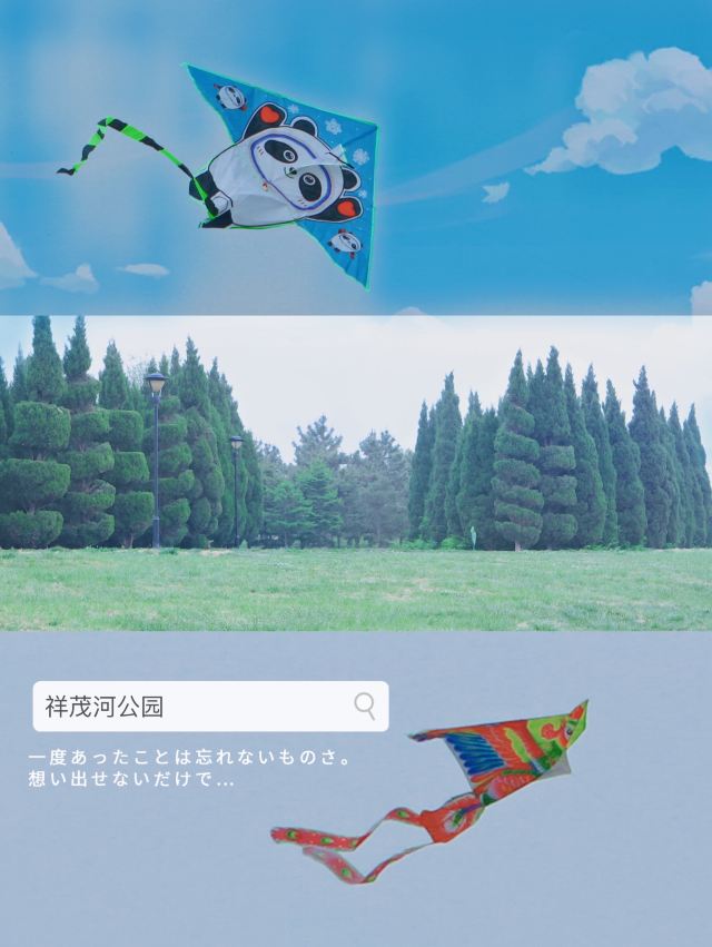 中欧国际城-滨河公园旅行图片 9
