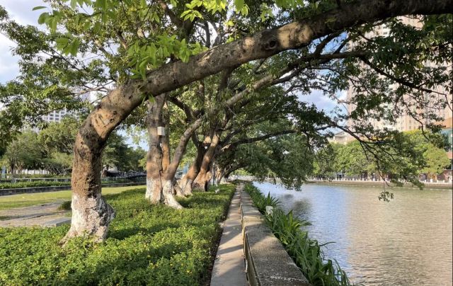 岐江公园旅行图片 4