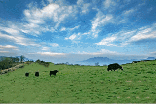 清凉ing！汶川最新避暑指南出炉，趁“热”收下→