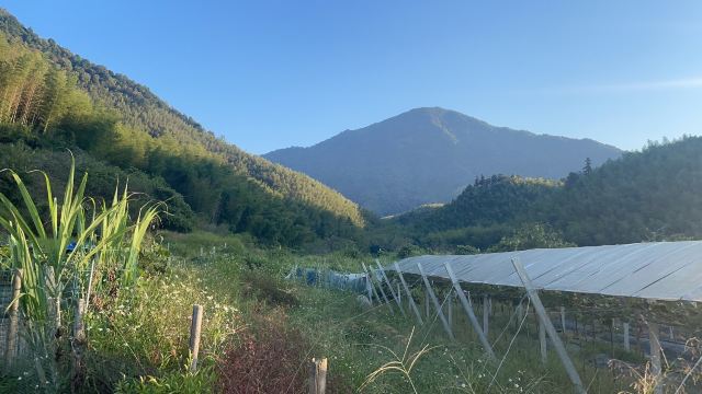 溪头村世界最佳旅游乡村旅行图片 10