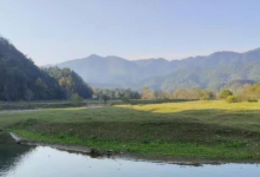 白鹭湖国家森林公园景点图片