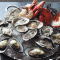 Grand Central Oyster Bar