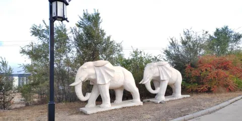 扎賚特旗森林公園