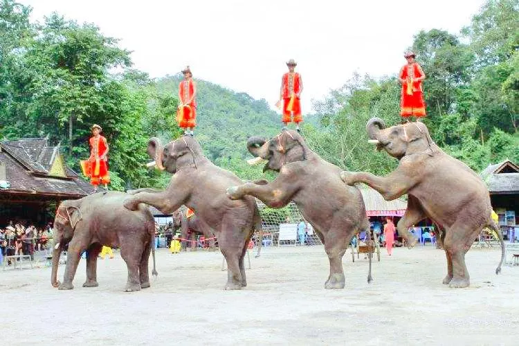 永安旅遊