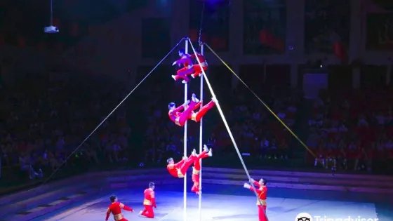 濟州馬戲團世界