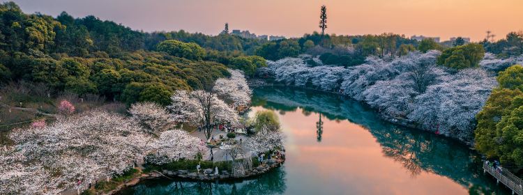 1201895214