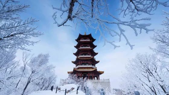蜂蜜山