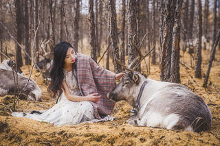 给你全世界的灿烂，金秋呼伦贝尔大草原——【呼伦贝尔旅游攻略】