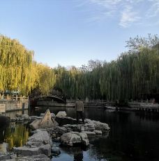 白石泉-济南-红糖泡泡