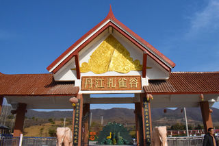 青花瓷孔雀见过吗？南阳的这个县城动物园，让我刮目相看