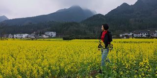 2021年春天的第一场旅行  第二站：兴义万峰林