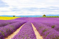 瓦朗索尔高原-瓦朗索勒