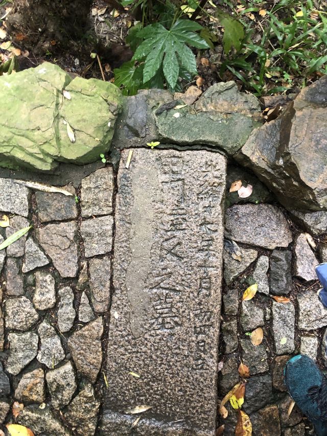 蓬莱公园旅行图片 15