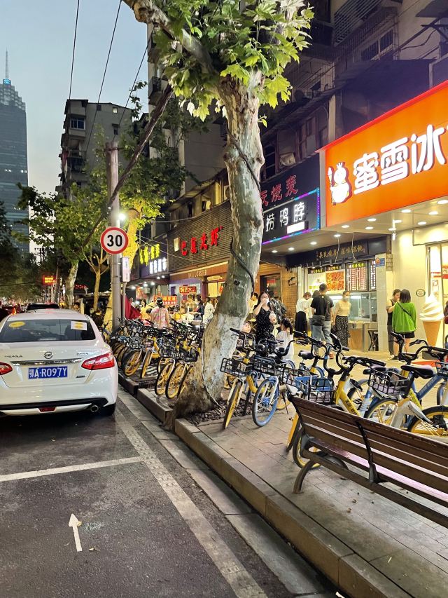万松文化园旅行图片 2