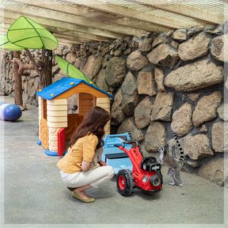 大邱适合约会游玩场所推荐—NaturePark