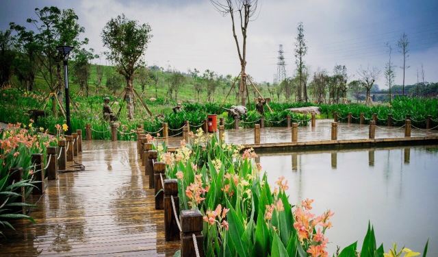 那考河湿地公园旅行图片 2