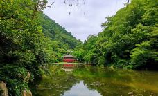 黔灵山公园-贵阳-香槟配红酒