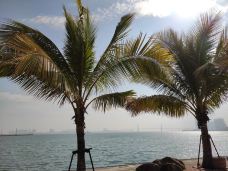 湛江海湾大桥-湛江-世界那么大可我只想走遍中国