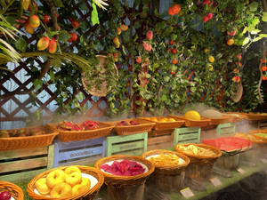 黄岛区游记图文-小伙伴们快来一起打卡 实现海鲜自由呀