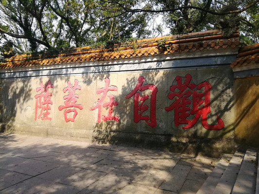 浙江舟山普陀山普济禅寺景区游记