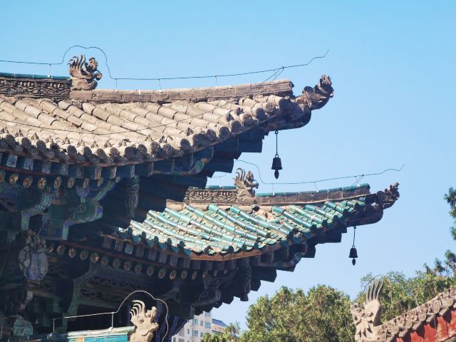 五泉山公园旅行图片 2