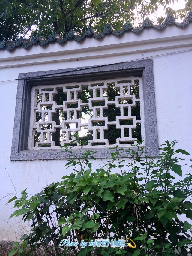夏芳园旅行图片 12