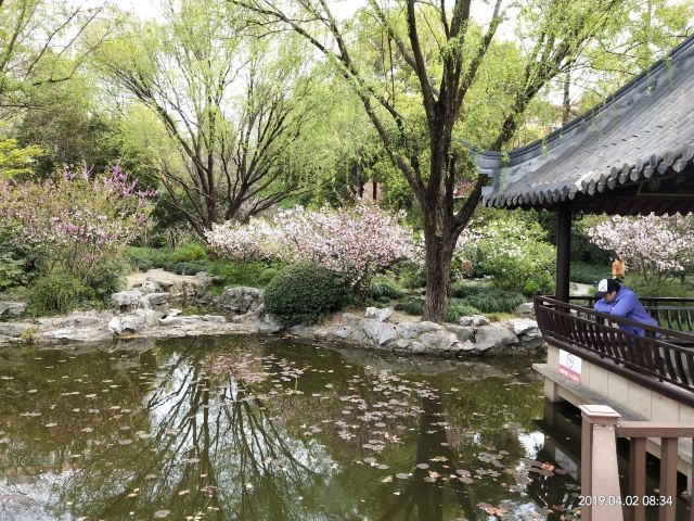 漕溪公园旅行图片 3