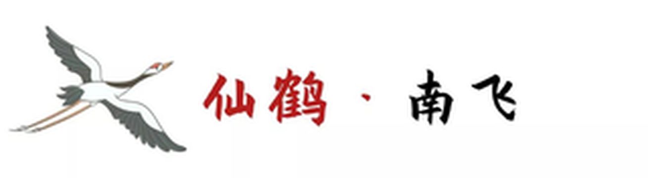 如期而至！净土阿坝，又见鹤南飞！