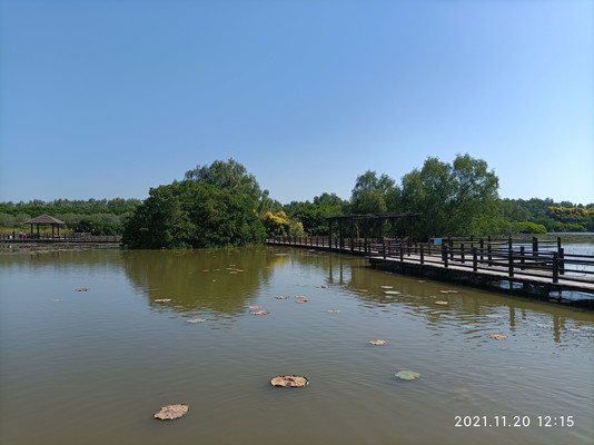 广州南沙湿地公园