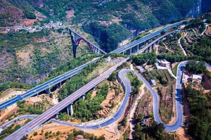 水城区游记图文-乡游黔中·水城区 哈青村丨春天的仪式感，从“森林小镇”开始