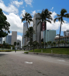 Miami Walk of Fame-迈阿密-C-IMAGE