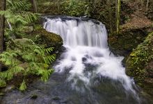 Whatcom Falls Park景点图片
