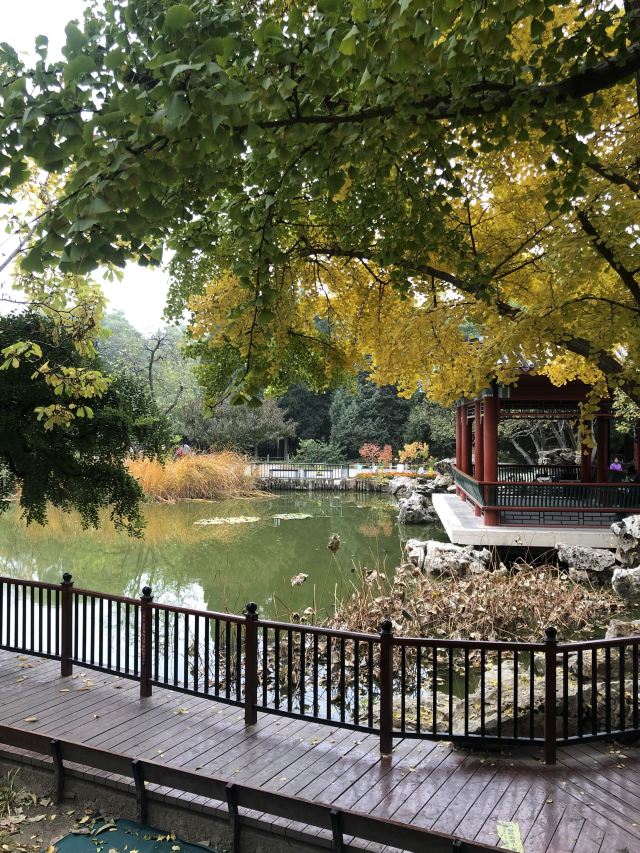 宣武艺园旅行图片 5